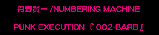 PUNK EXECUTION�w002-BARB�x